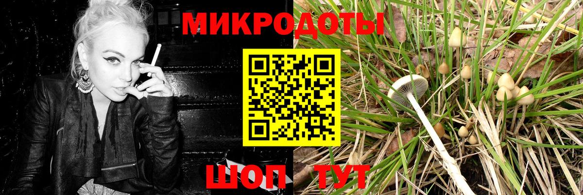 Самара  Псилоцибиновые грибы Psilocybe  купить  сайты  Вход с VPN 